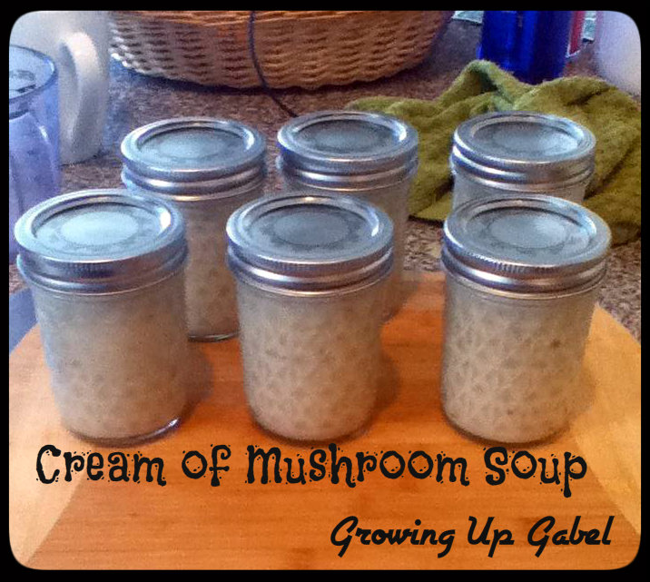 Homemade Cream of Mushroom Soup