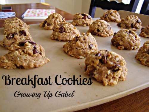 Breakfast Cookies - Growing Up Gabel