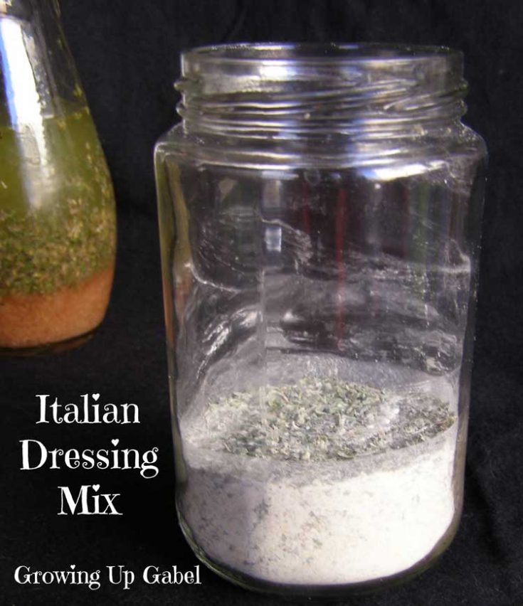Italian dressing mix