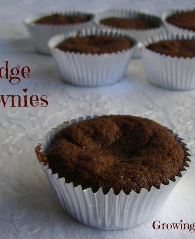 Fudge Brownies from growingupgabel.com @thegabels #recipe
