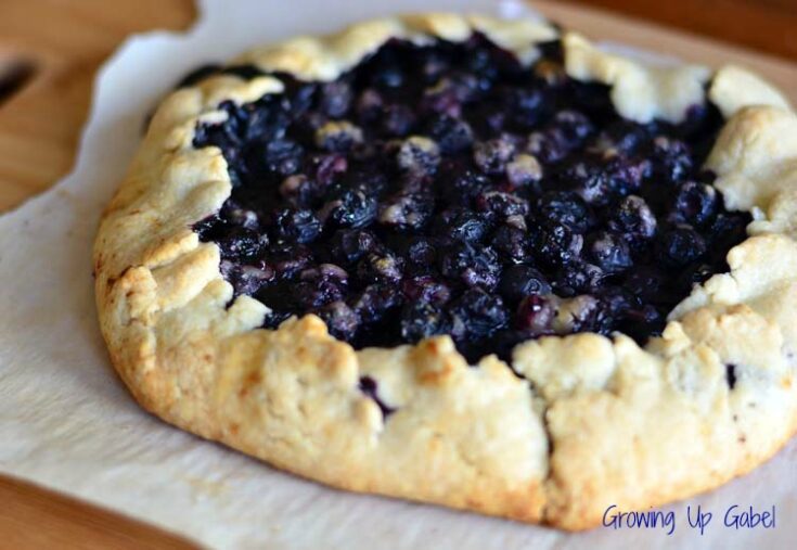 Blueberry Fruit tart