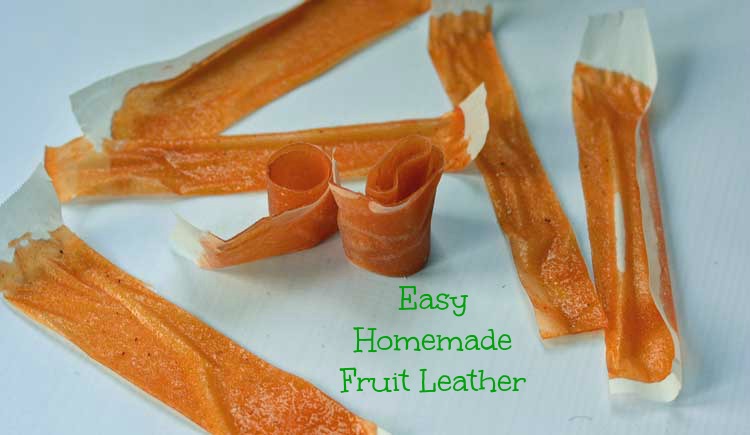 homemade fruit leather