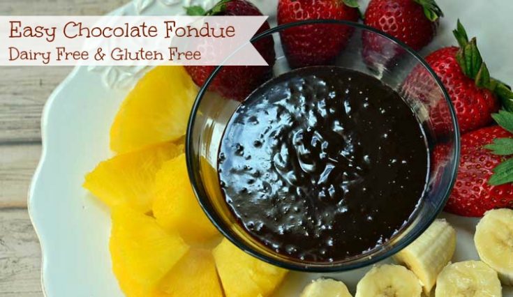 Dairy free and gluten free easy chocolate fondue recipe is a great snack!