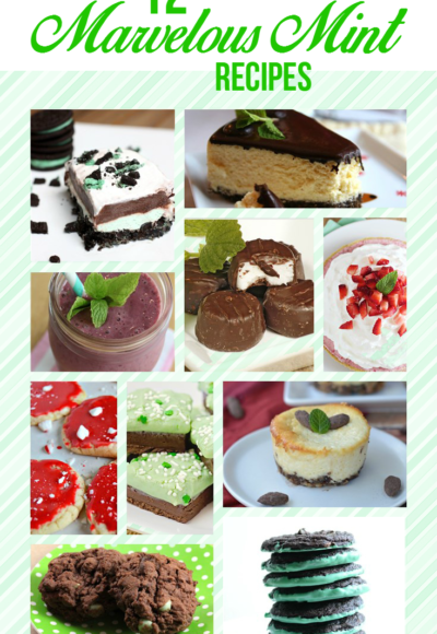 Make a fun new dessert with these delicious mint dessert recipes!