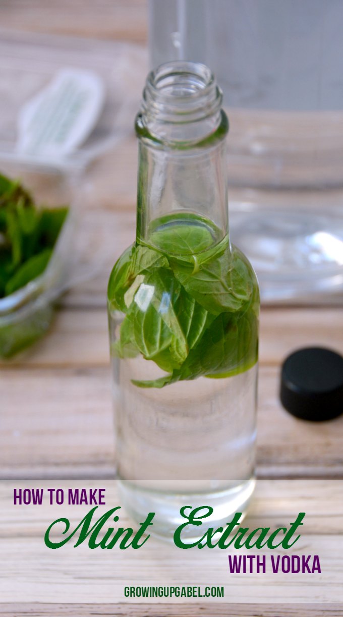 Did you know you can make homemade extracts with just a few simple ingredients for much cheaper than the store bought extracts? Learn how to make homemade mint extract with just 2 ingredients!