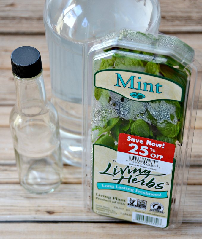 Did you know you can make homemade extracts with just a few simple ingredients for much cheaper than the store bought extracts? Learn how to make homemade mint extract with just 2 ingredients! 