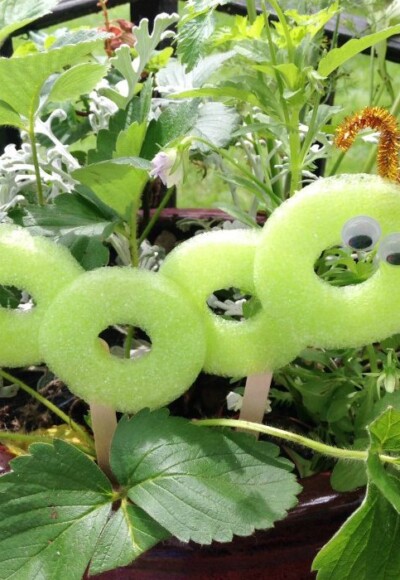 Add a pool noodle craft caterpillar to summer planters and gardens with this fun pool noodle craft.