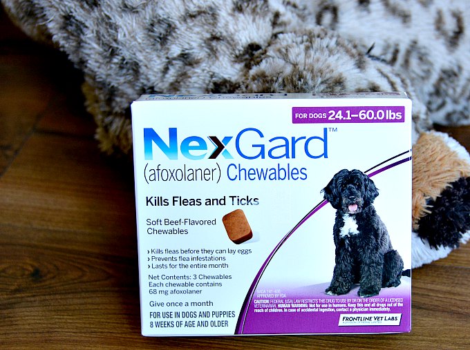 NexGard for Dogs