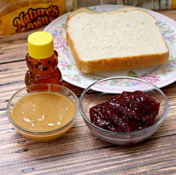 Peanut Butter and Jelly School Lunch
