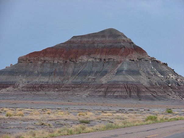 Petrified National Forest