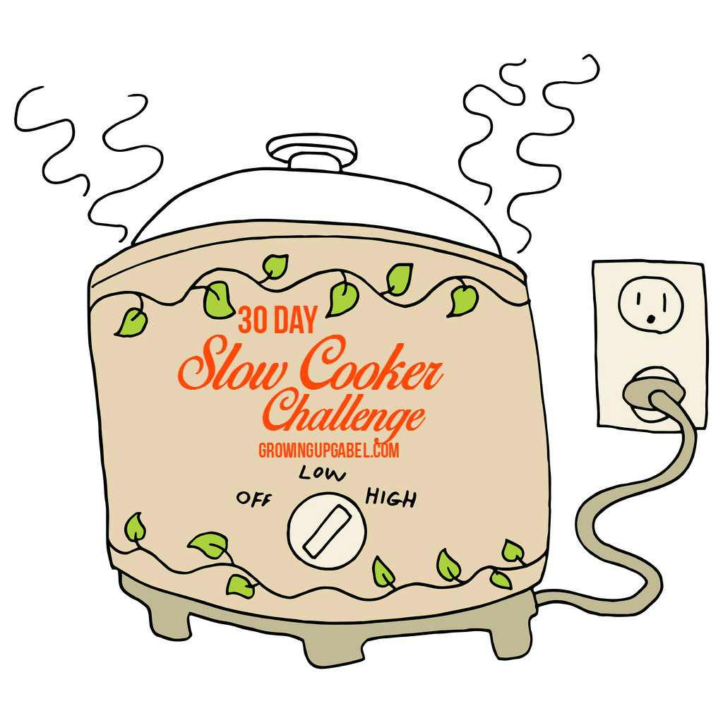 Fall in love with your Crock Pot again! Start slow cooking with these fun recipes! 