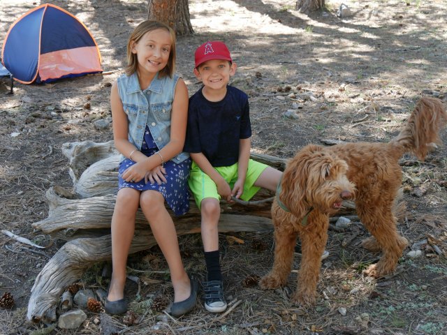 Family Camping with Dogs