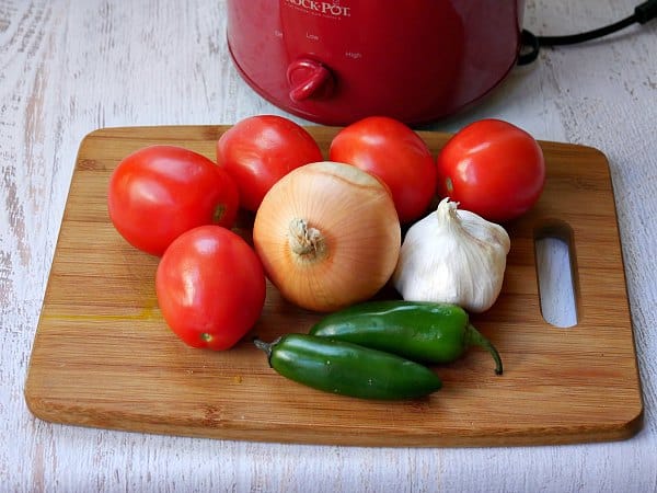 salsa-with-fresh-tomatoes