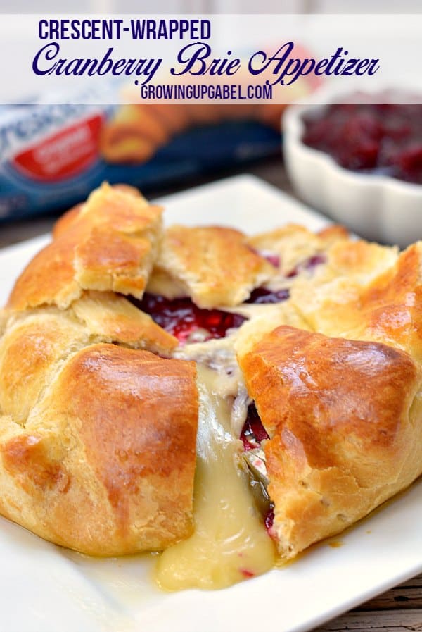 Cranberry and Brie Baked Cheese Appetizer Recipe
