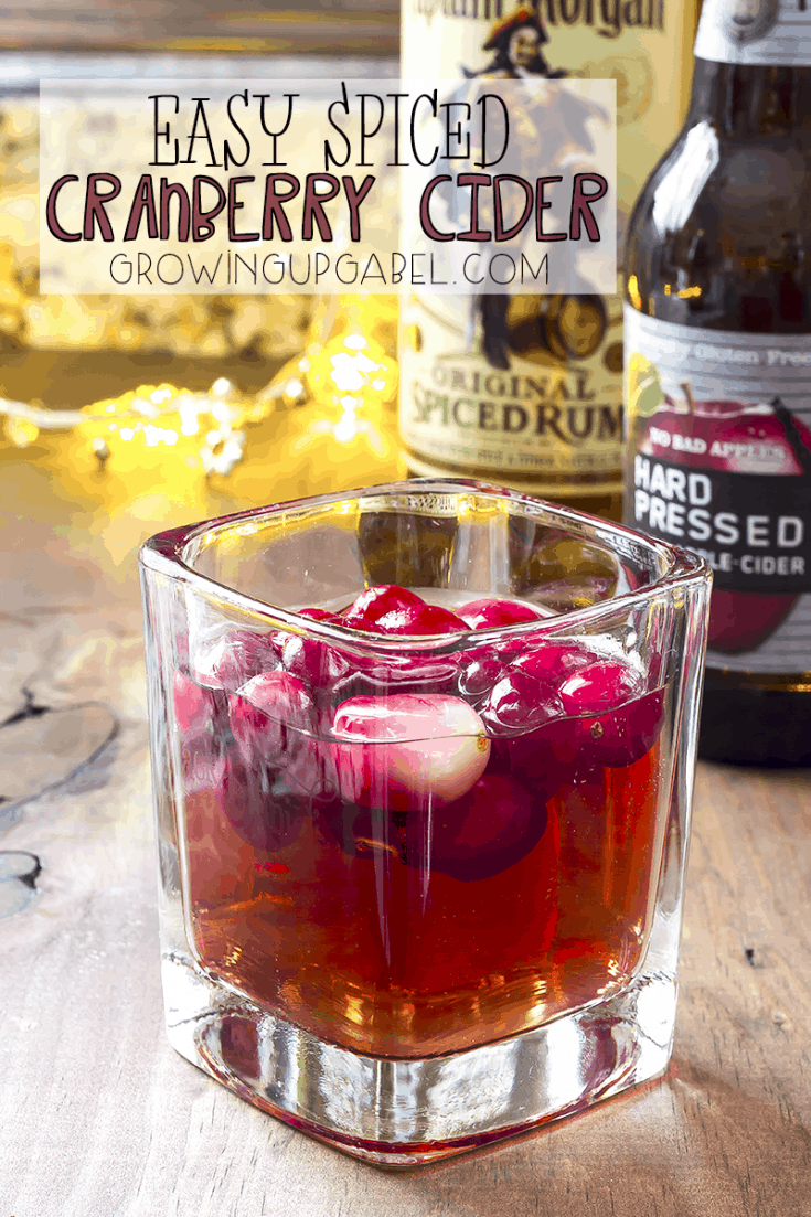 Easy Spiced Cranberry Cider Cocktail Recipe