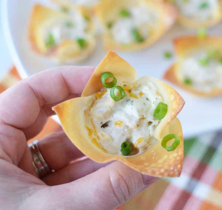 Cheesy Chicken and Herb Wonton Cups