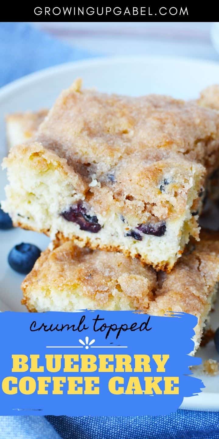 Classic Blueberry Buckle Recipe - Granny's in the Kitchen