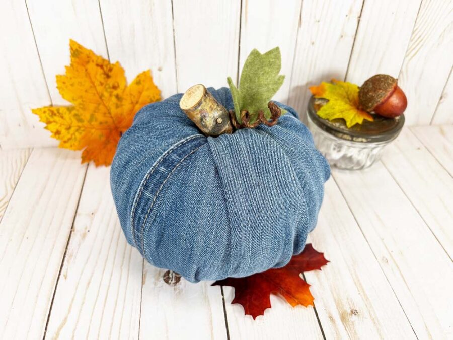 Denim pumpkin  with leaves and acorns in background