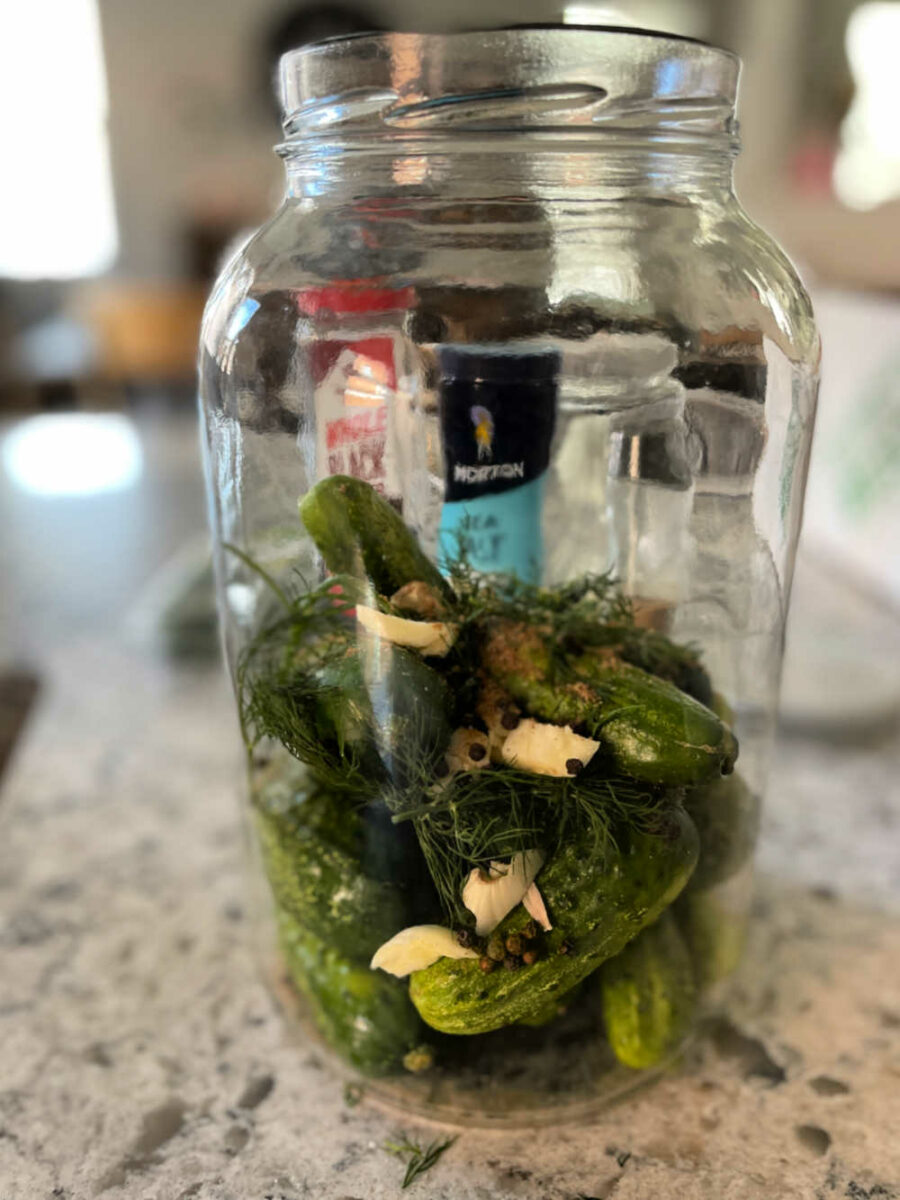 A large glass jar half full of cucumbers and spices