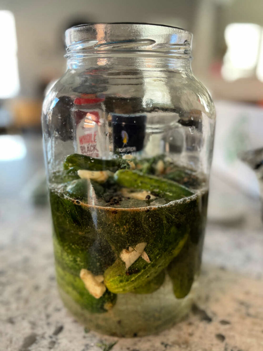 Half full jar of cucumbers and fermenting brine