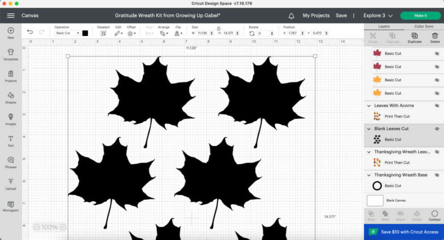 Screen shot of leaves in Design Space