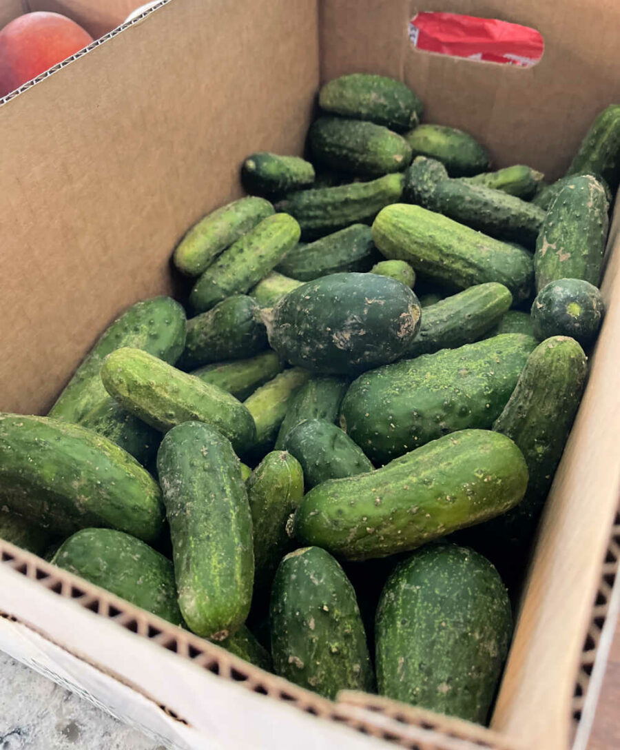 A box of pickling cucumbers.