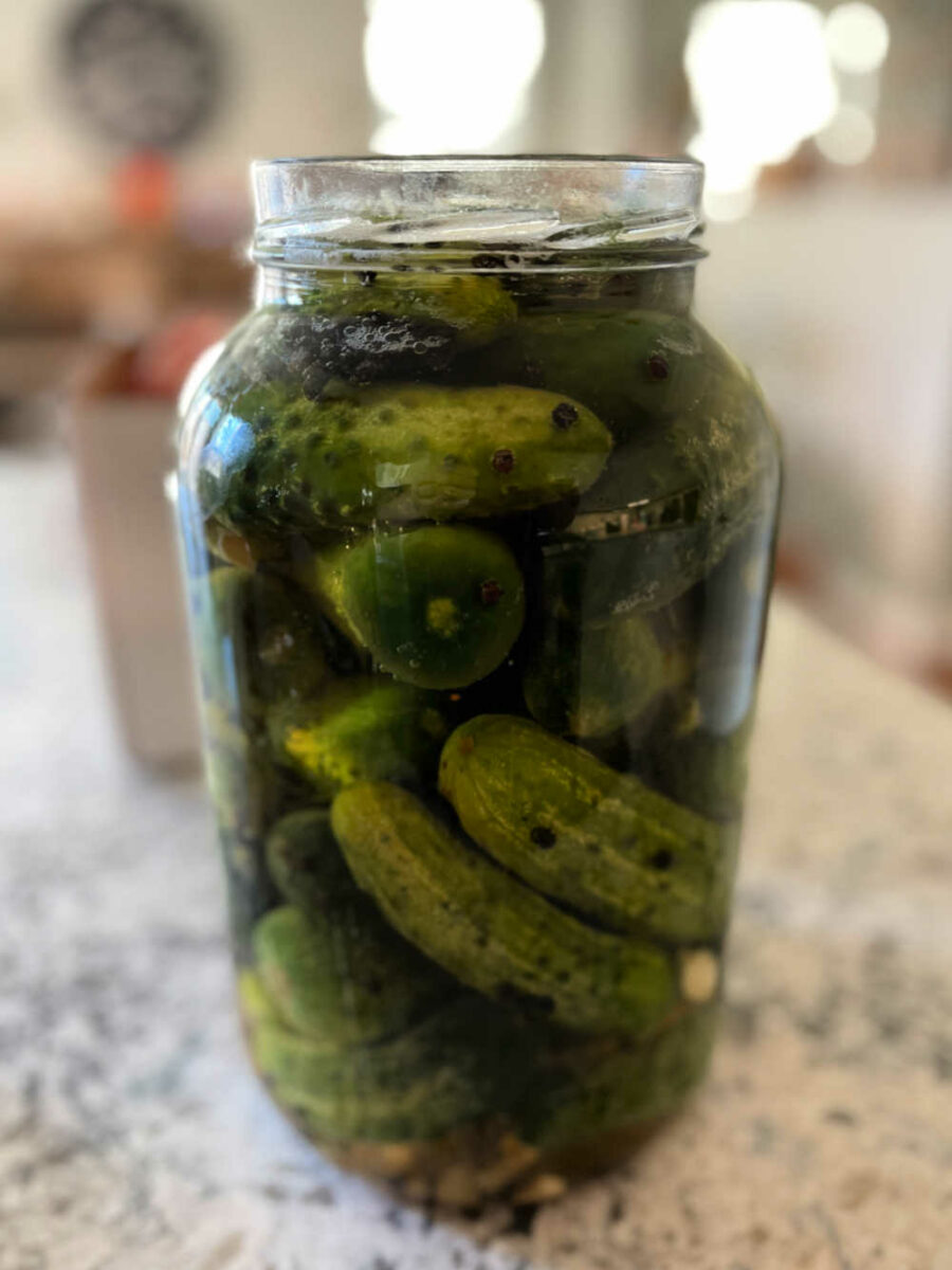 a jar full of cucumbers and fermenting brine