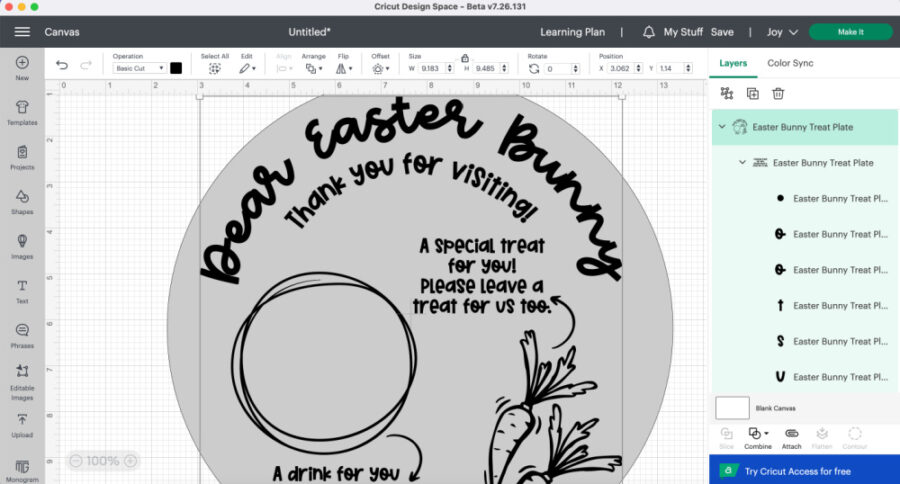 Easter bunny plate SVG in Design Space